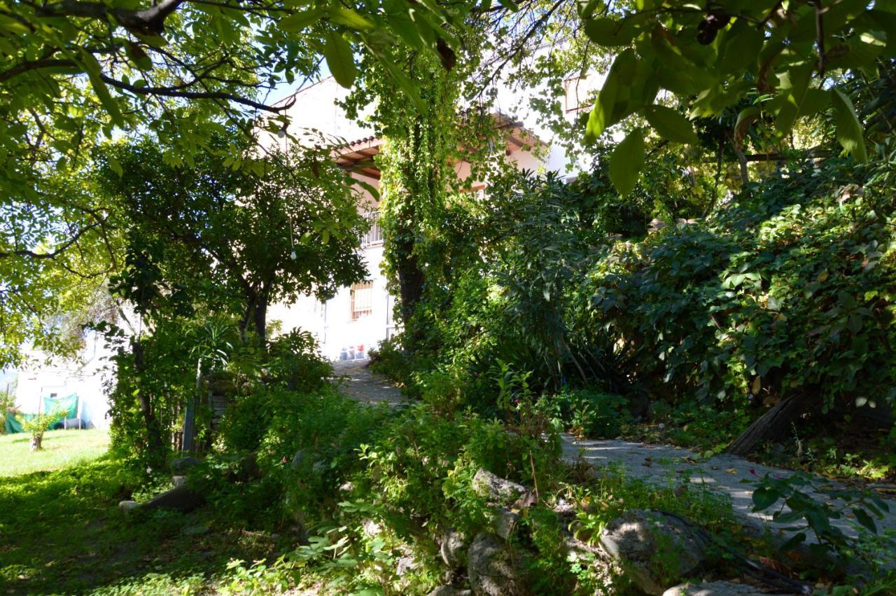 Ecoalbergue Rural De Algodonales Exterior photo
